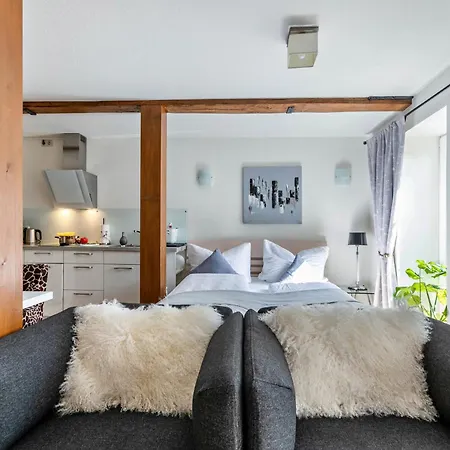 Alte Tischlerei Appartement Hemmingstedt